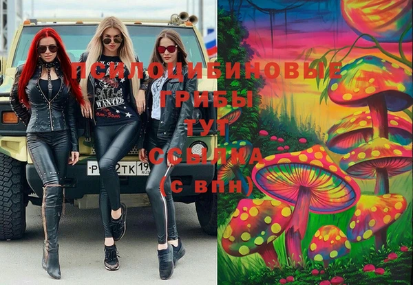 СК Бородино