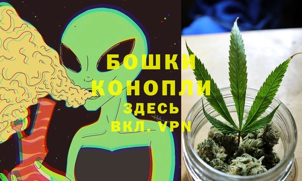 СК Бородино